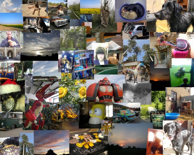 Can you find Noobcake?