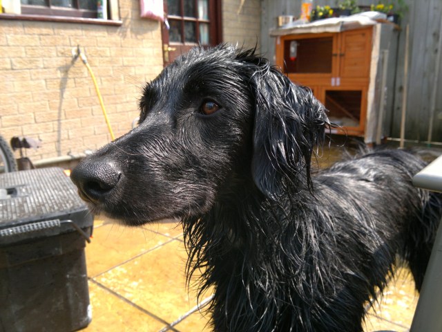 Weekly Photo Challenge: Wildlife