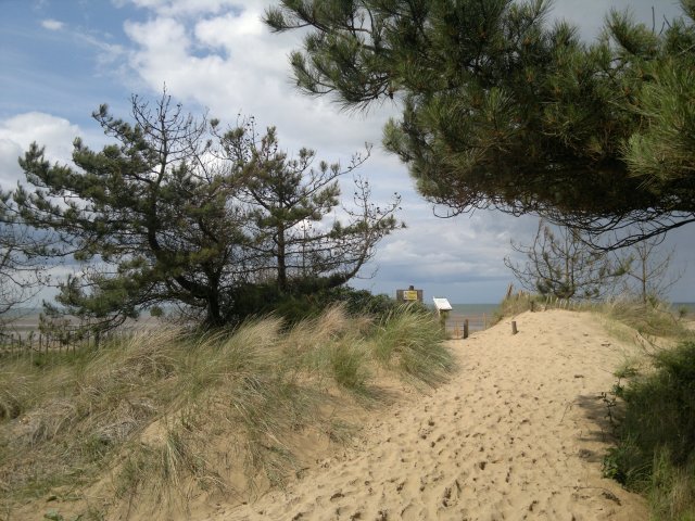 Beach Path