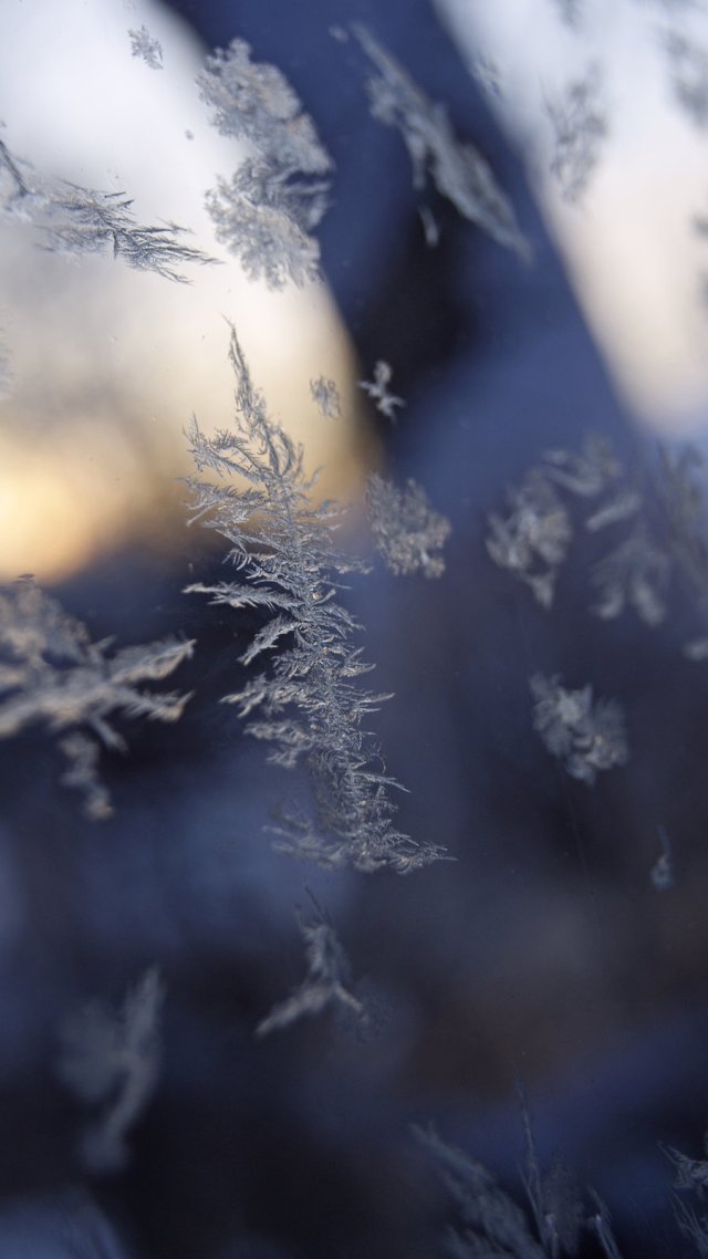 frosty_morning_2_by_buddharocks-d3b3y47