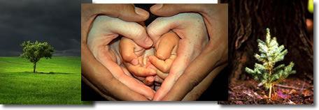 inspirationalbanner15