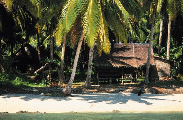A typical Mentawai island shack.