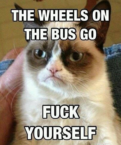 grumpcat1