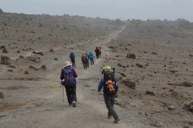 16423189_10154145458450966_6613149960358188103_o